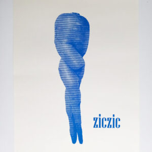 Carota / serigrafia blu